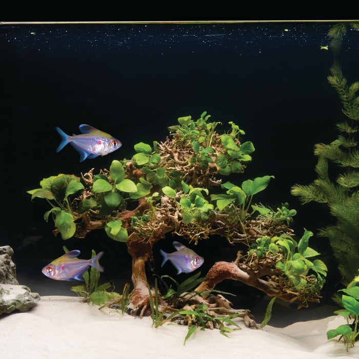 Zoo Med Dragon Bonsai Tree Aquatic Ornament LG