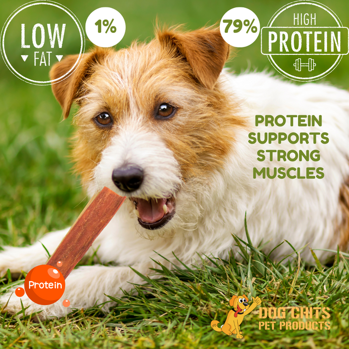 Dog Chits Pet Products Beef Jerky Flats Dog Treats 6 Inch - 10 oz.