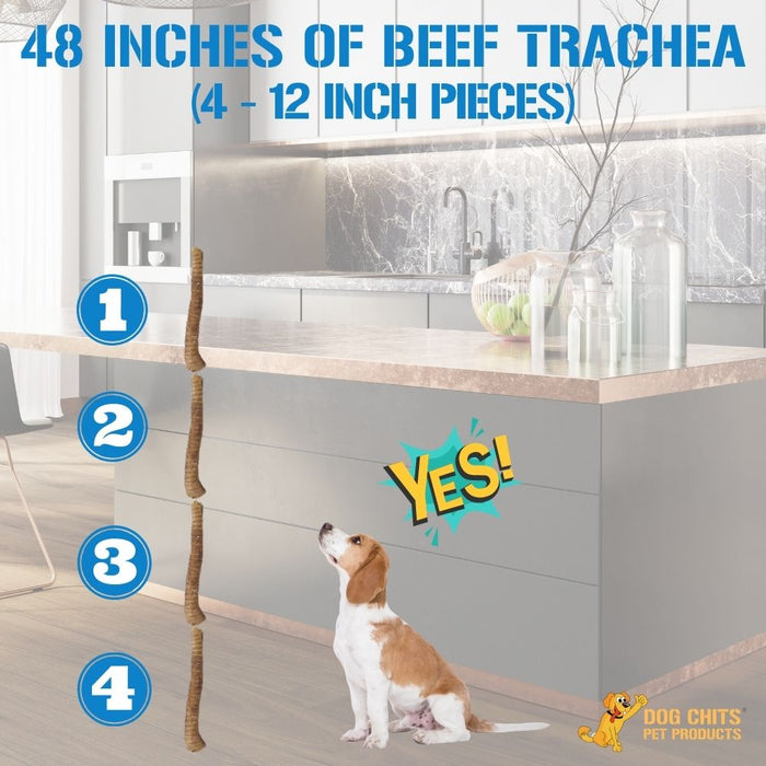 Dog Chits Pet Products Beef Trachea Dog Treats - 12 Inch, 4 Pack