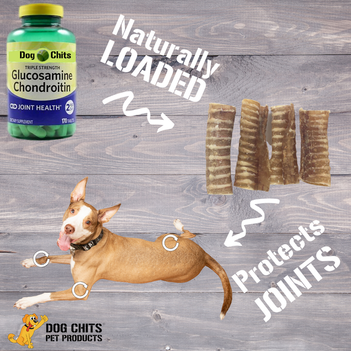 Dog Chits Pet Products Beef Trachea Dog Treats 8 - 6 Inch Pieces