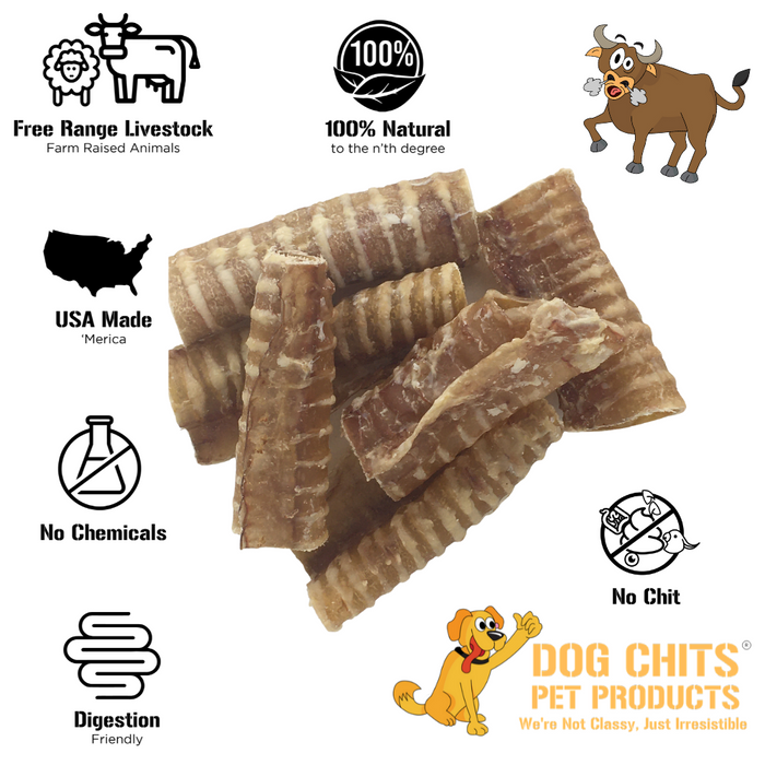 Dog Chits Pet Products Beef Trachea Dog Treats (3"-4" pieces) - 1 lb.