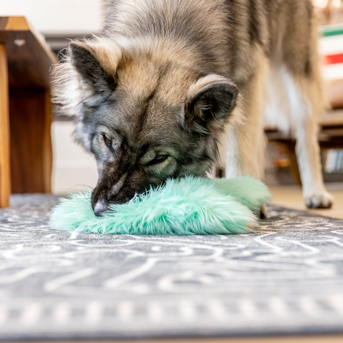 West Paw Bjorn Dog Toy