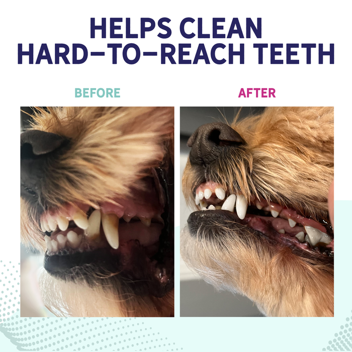 Health Extension Fresh Breath Dental Bones - 6 - Image 14