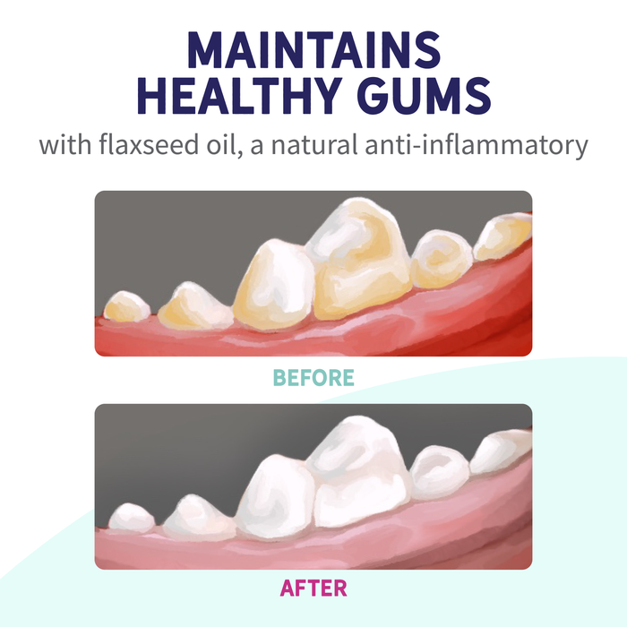Health Extension Fresh Breath Dental Bones - 7 - Image 14