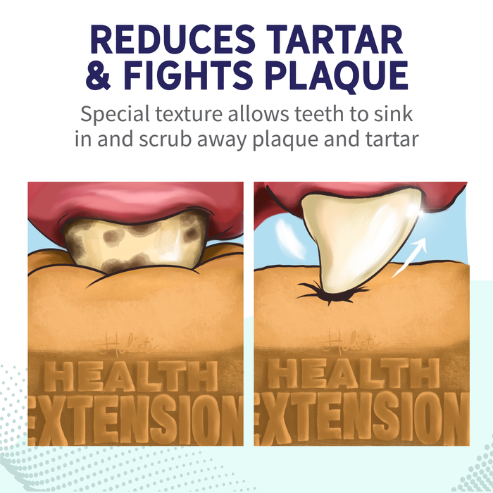 Health Extension Fresh Breath Dental Bones - 8 - Image 14