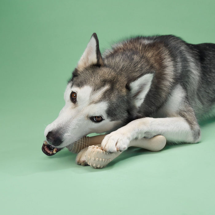 BetterBone Moderate Durability Dog Chew Toy