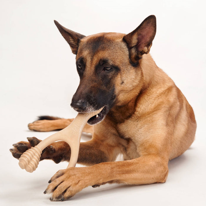 BetterBone Moderate Durability Dog Chew Toy