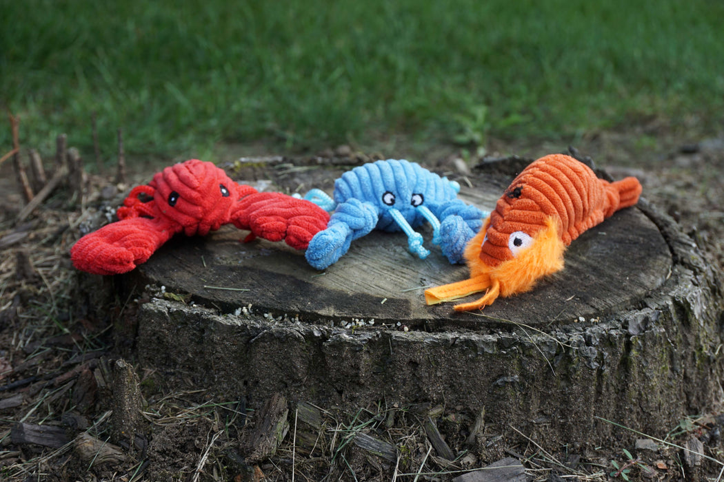 HuggleHounds Raw Bar Wee Huggles® Plush Dog Toys, (Pack of 3)