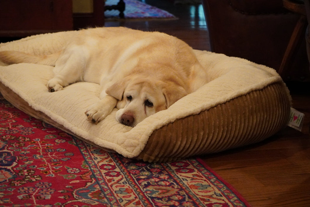 HuggleHounds Scout Perfect Bolster Dog Bed