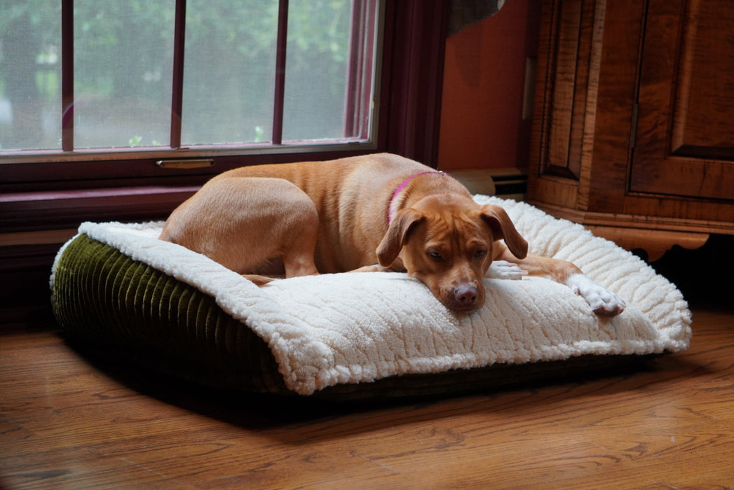 HuggleHounds Scout Perfect Bolster Dog Bed