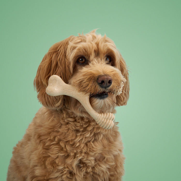 BetterBone Moderate Durability Dog Chew Toy