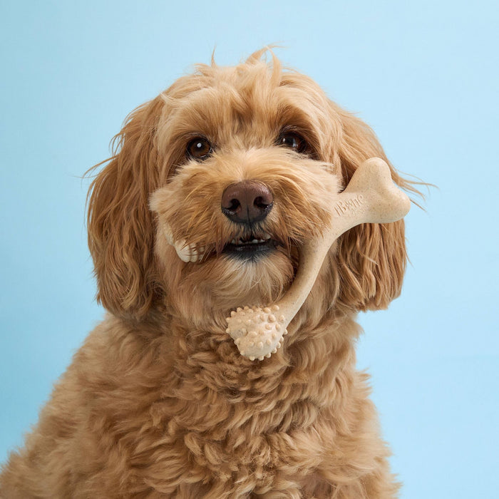 BetterBone Soft Durability Dog Chew Toy