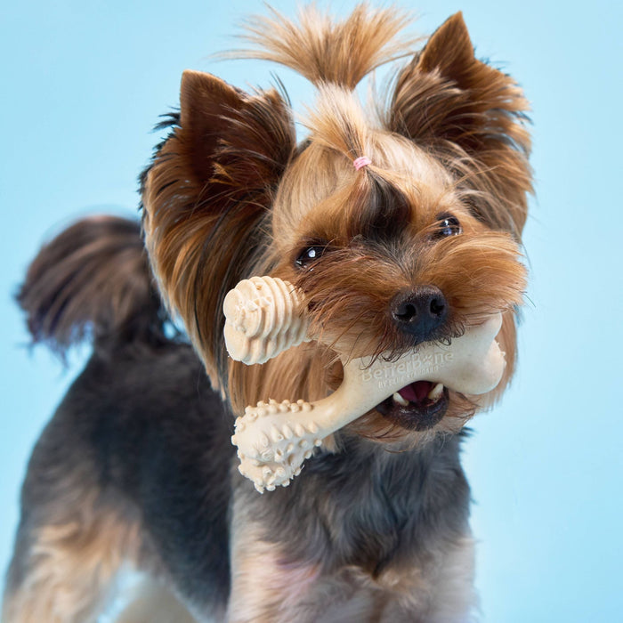 BetterBone Soft Durability Dog Chew Toy