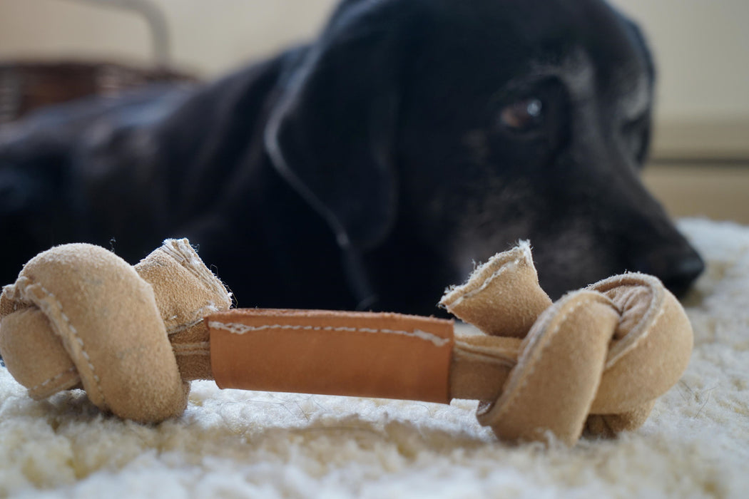 HuggleHounds Huggle-Hide® Natural Leather Bone Dog Toy, 3 Pack