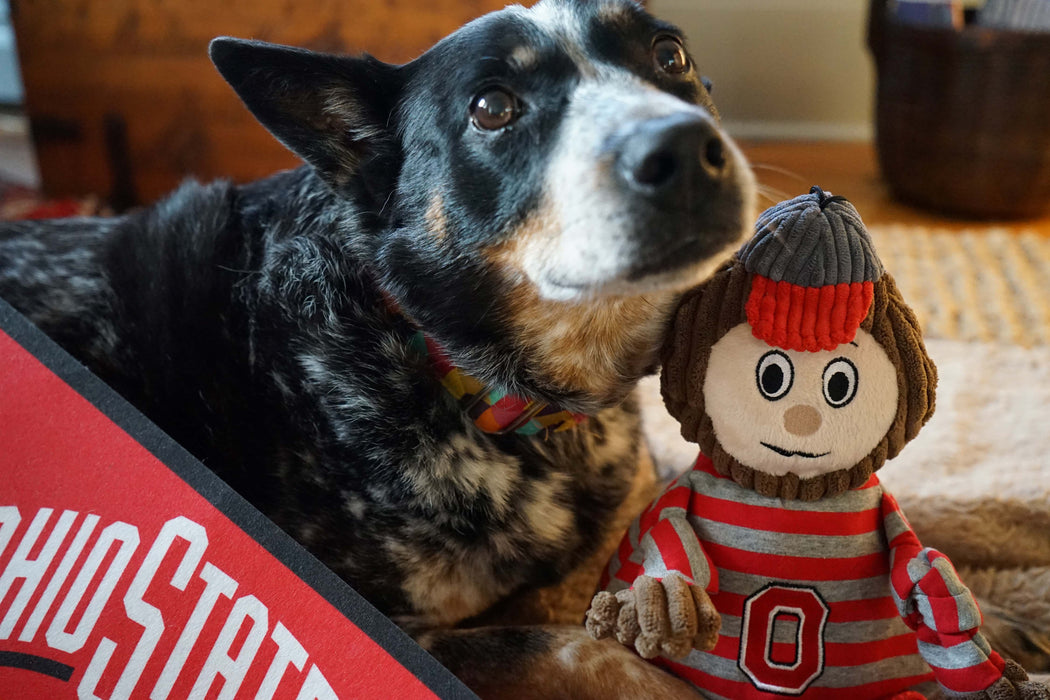 HuggleHounds NCAA Ohio State University, Brutus the Buckeye Knottie® Plush Dog Toy