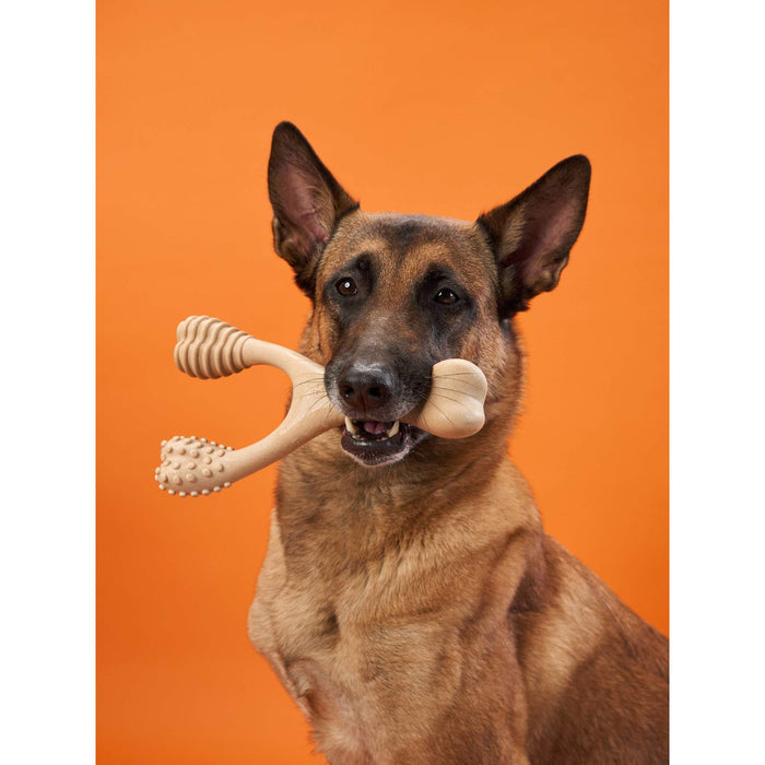 BetterBone Hard Durable Dog Chew Toy