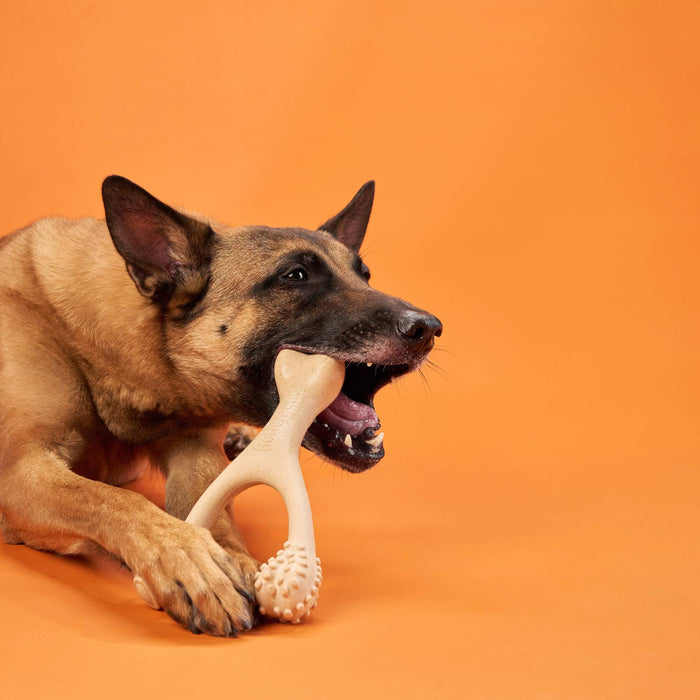 BetterBone Hard Durable Dog Chew Toy