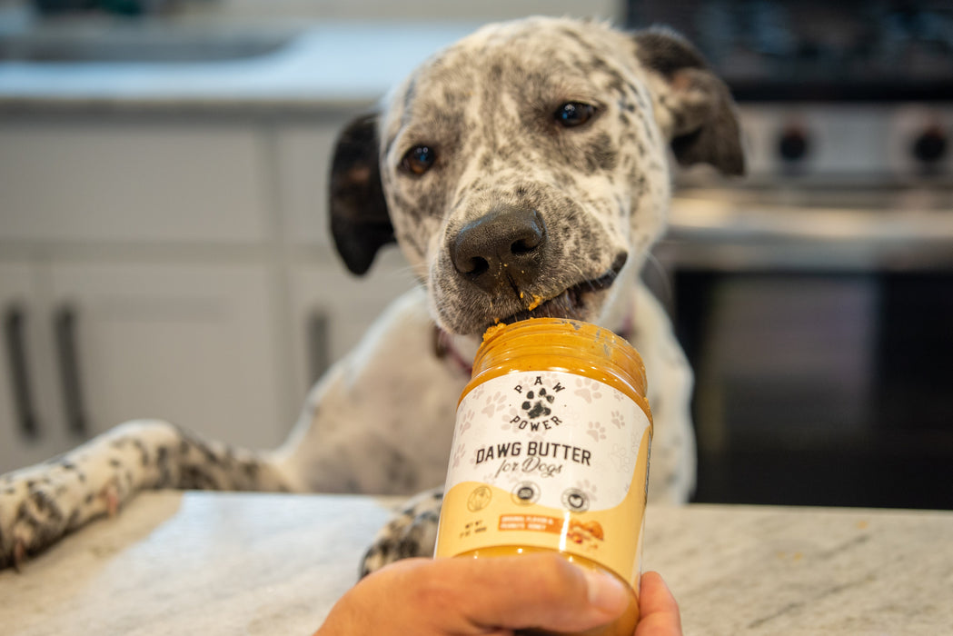 Paw Power Nutrition Dawg Butter Original Flavor Food Topper