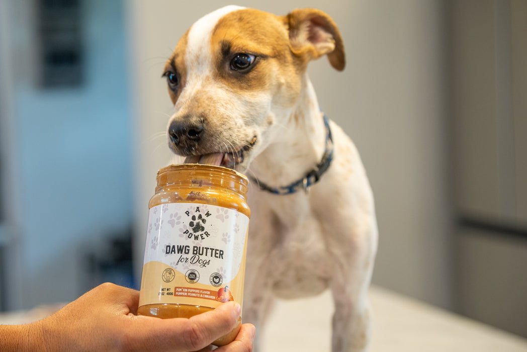 Paw Power Nutrition Dawg Butter Pum'kin Puppers Flavor Food Topper