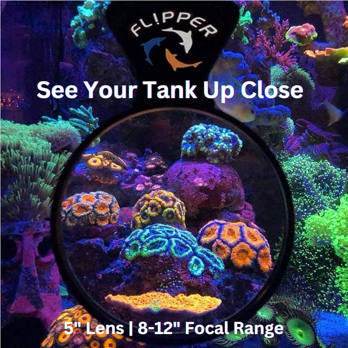 Flipper Aquarium Products - DeepSee Viewer Black Max 5" - Orange Filter - 7 - Image 11
