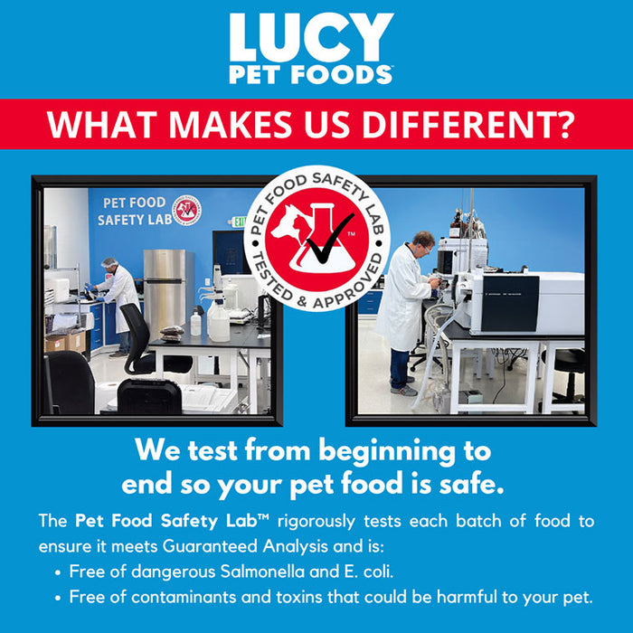 Lucy Pet Products Formulas for Life Dry Cat Food Salmon, Pumpkin & Quinoa 4lbs