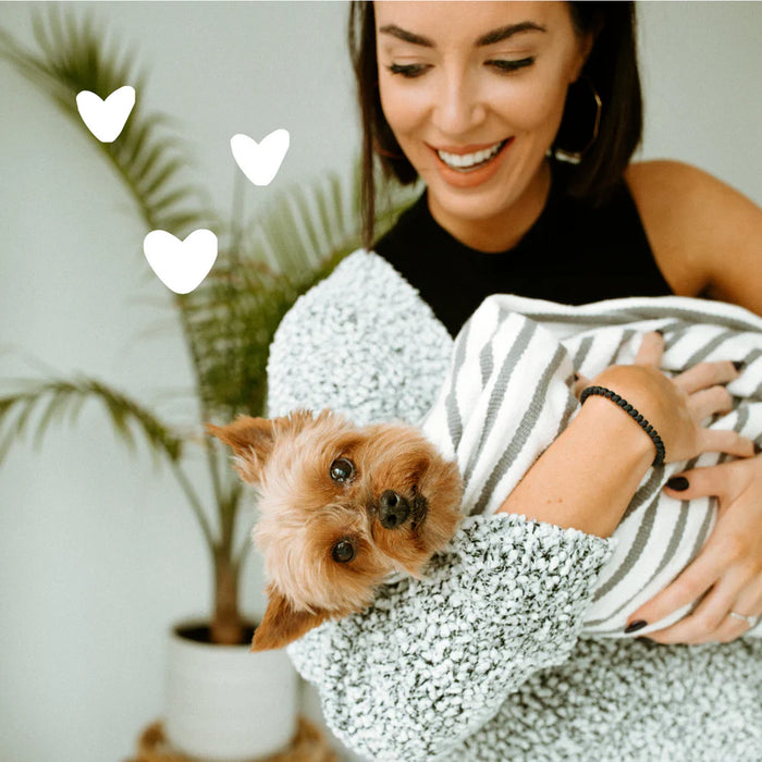 Earthbath Dirty Dog Shampoo, Sweet Orange Oil 2.5gal