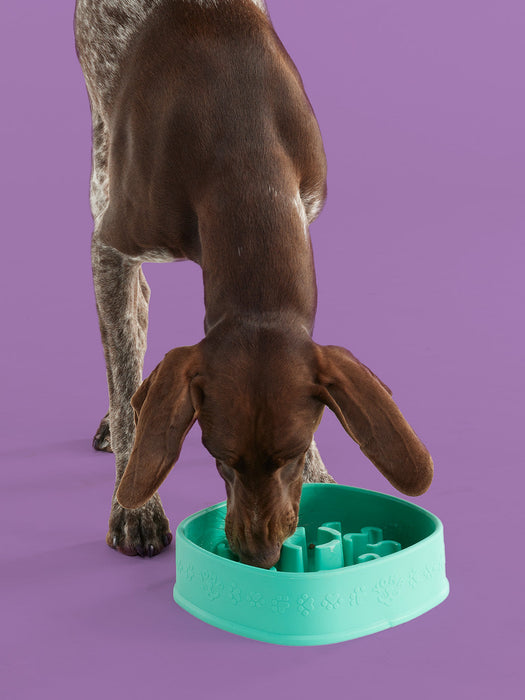 ShopYomp BetterFeeder - 1 - Image 6