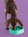 ShopYomp BetterFeeder - 1 - Image 6