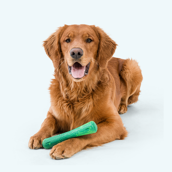 West Paw Drifty Dog Toy