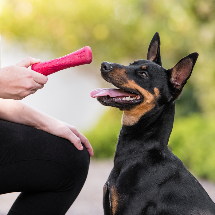 West Paw Drifty Dog Toy