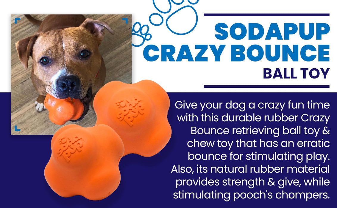 SodaPup Crazy Bounce Ultra Durable Rubber Chew & Retrieving Toy