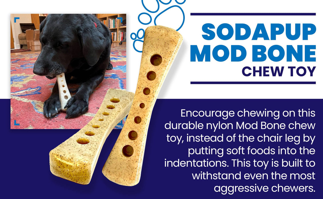 SodaPup MOD Bone eChew Ultra Durable Nylon Dog Chew Toy