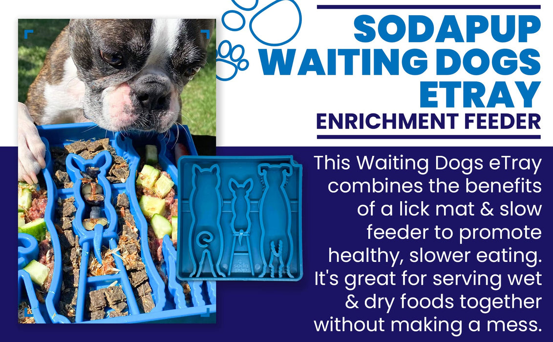 SodaPup Waiting Dogs Design eTray Enrichment Tray for Dogs