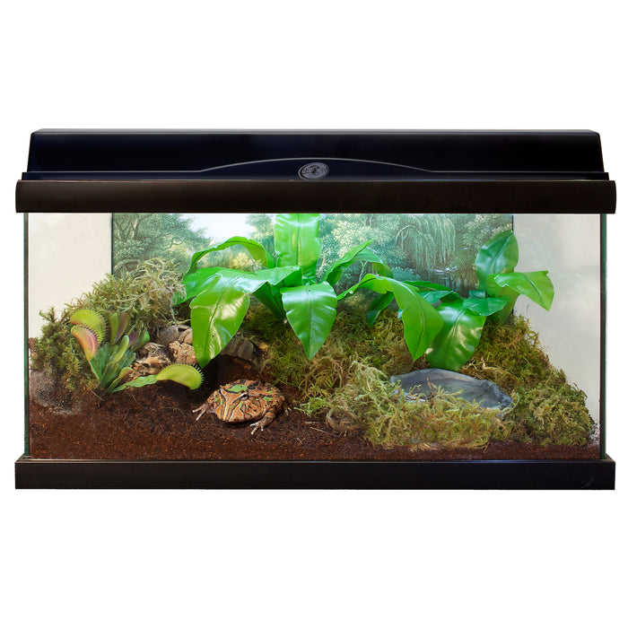 Zoo Med Eco Earth Coconut Fiber Substrate Brown 3 Pack