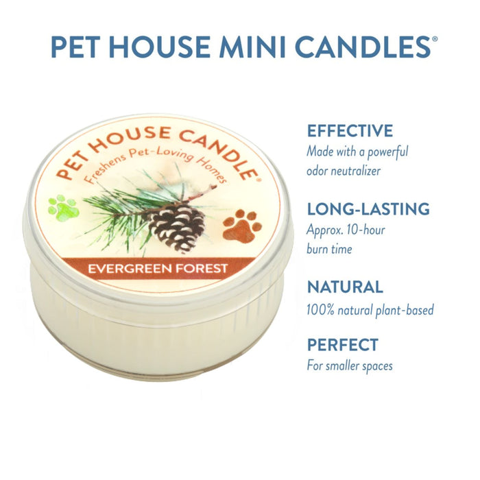 One Fur All Evergreen Forest Mini Candle