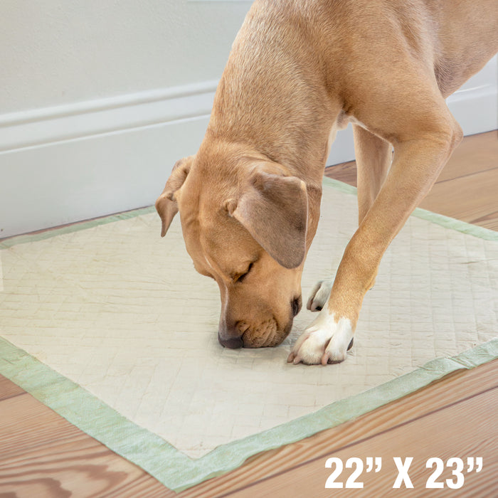 Four Paws Wee-Wee Superior Performance Eco Bamboo Dog Pee Pads 22" x 23" (14 Count)