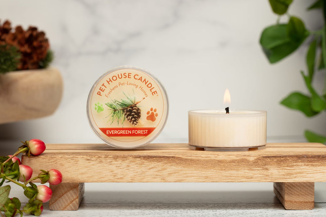 One Fur All Evergreen Forest Mini Candle