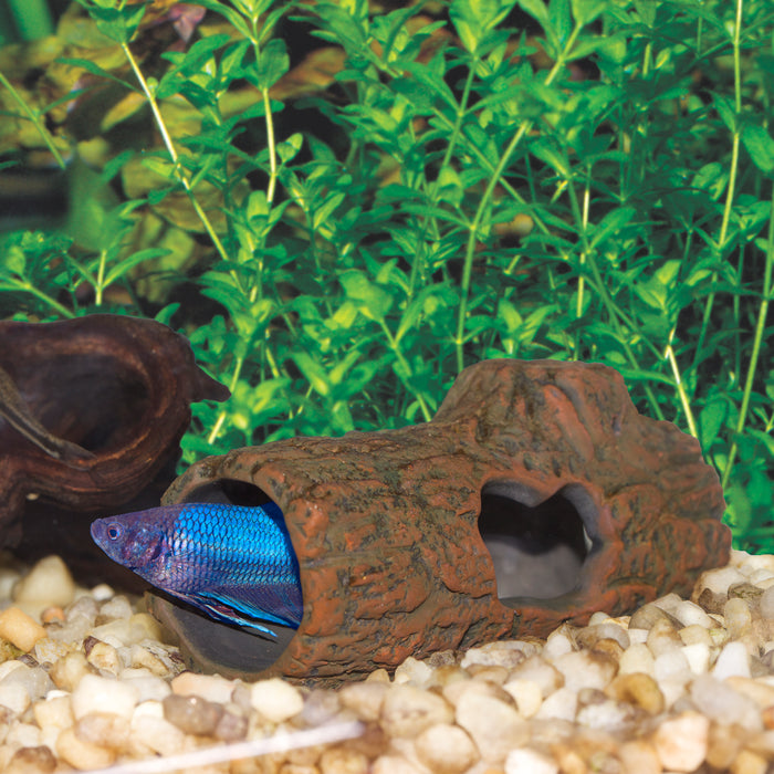 Zoo Med Ceramic Betta Log Aquarium Ornament Brown 4.25in SM