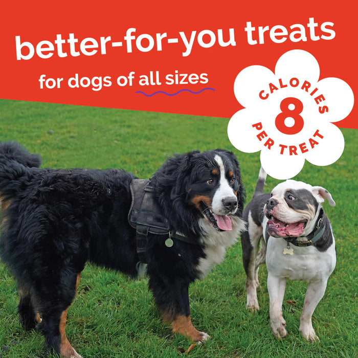 Fruitables Crunchy Baked Dog Treats Crispy Bacon & Apple 7oz