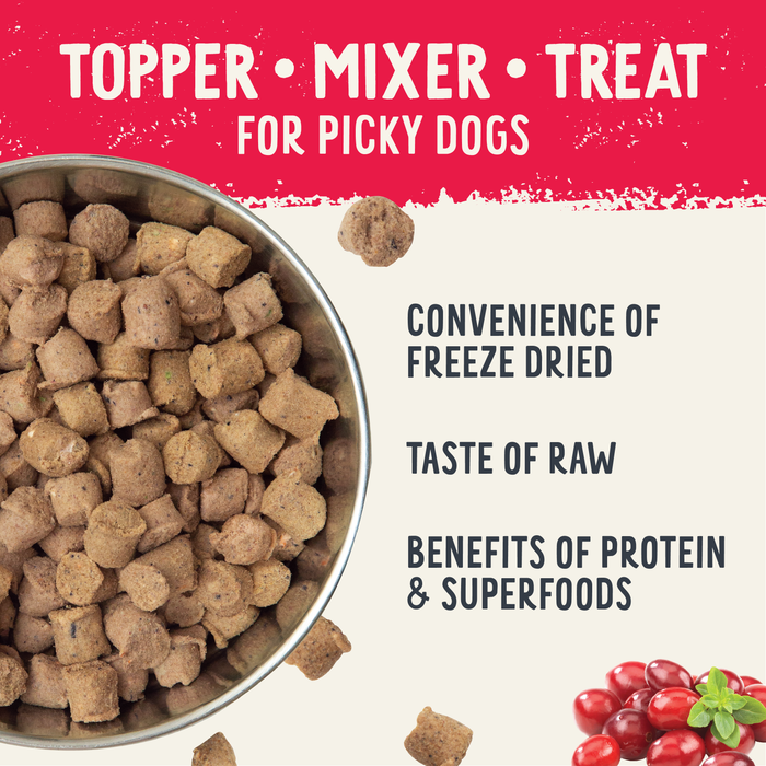 Health Extension  Freeze Dried Raw Beef Recipe - 2 - Image 9