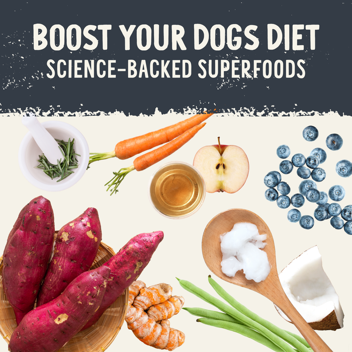 Health Extension Freeze Dried Raw Salmon Recipe - 5 - Image 9