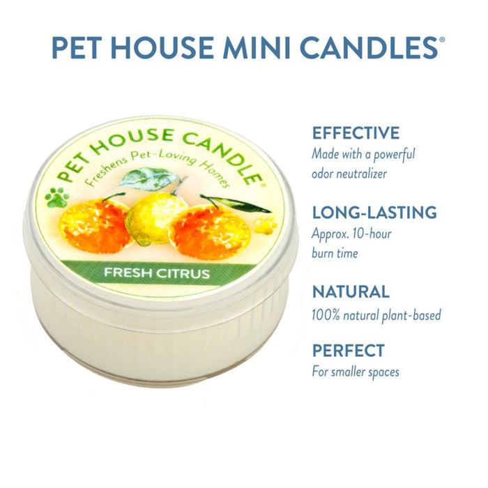 One Fur All Fresh Citrus Mini Candle