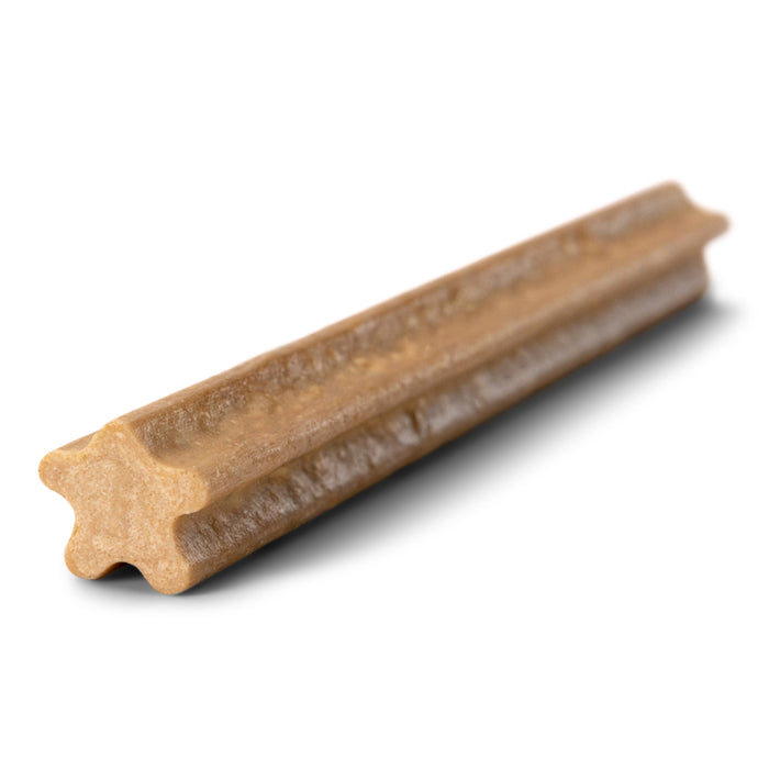West Paw Natural Dog Treats Dental Sticks Large 14 oz