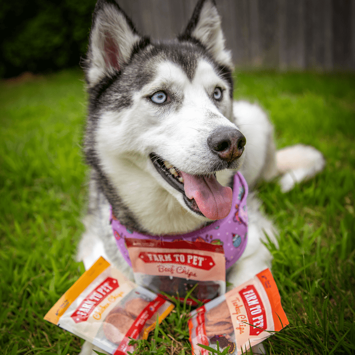 Farm to Pet Snack Pack Dog and Cat Treat Sampler