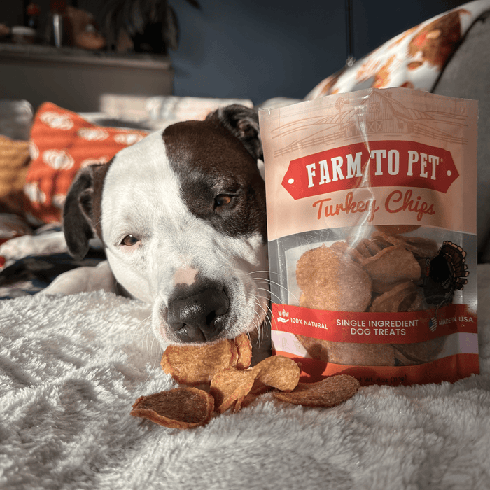 Farm to Pet All-Natural Single-Ingredient Turkey Chips Dog Treats