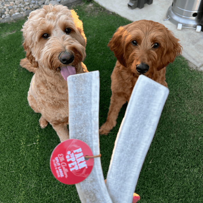 Farm to Pet All-Natural Whole and Split Elk Antler Dog Chews