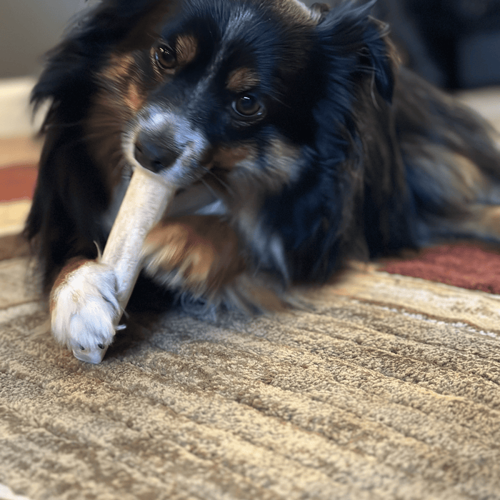Farm to Pet All-Natural Whole and Split Elk Antler Dog Chews