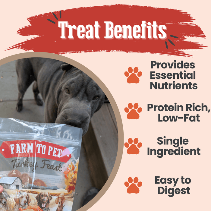 Farm to Pet Turkey Feast Chips