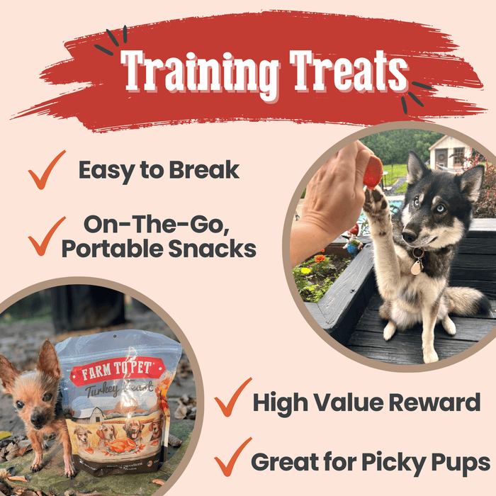 Farm to Pet Turkey Feast Chips