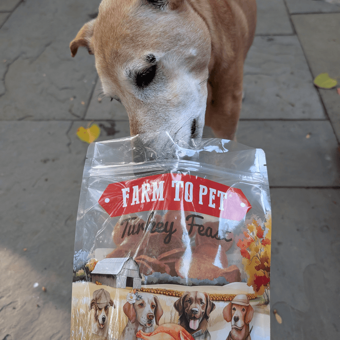 Farm to Pet Turkey Feast Chips